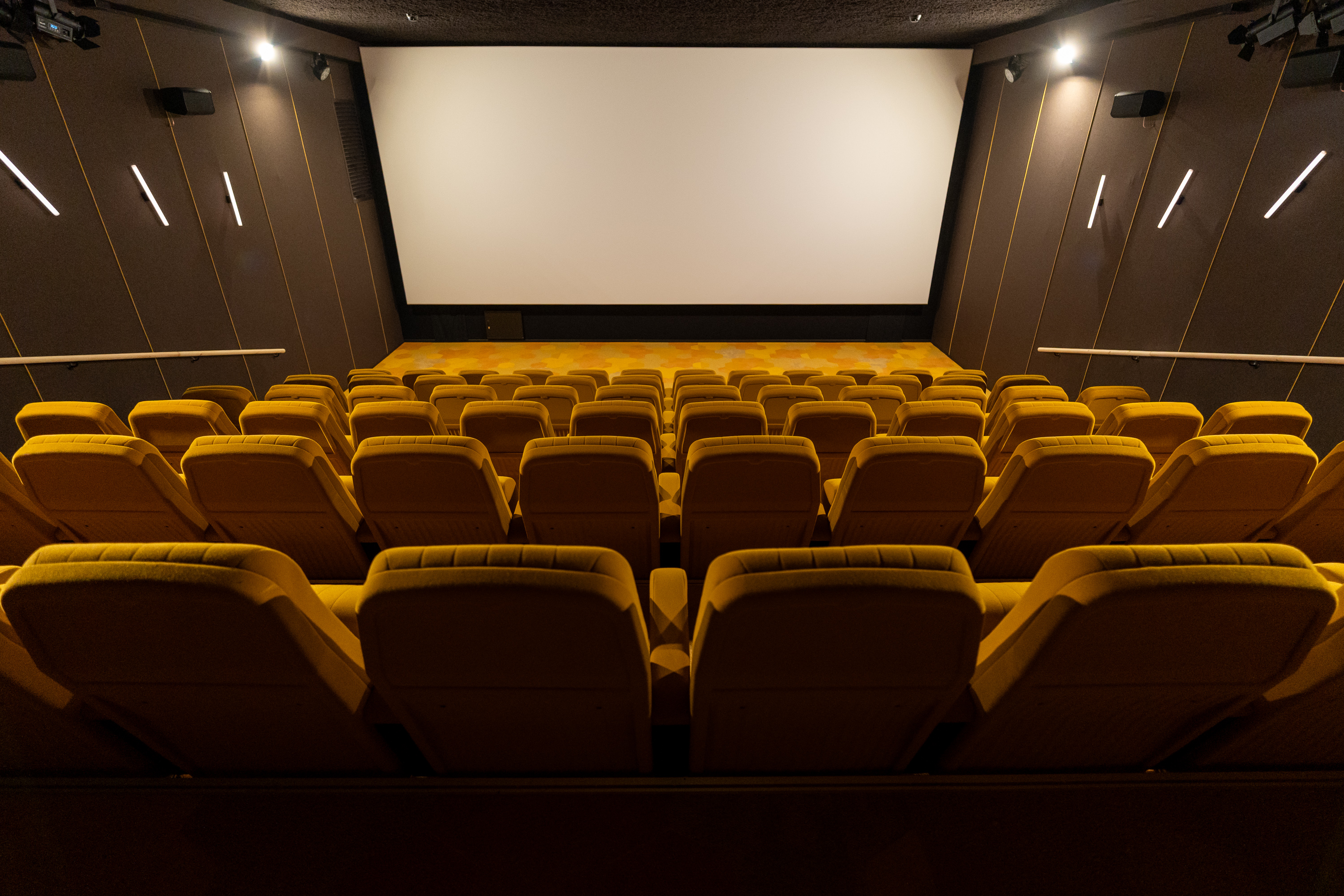 FilmTheater FilmkrantDag-015.jpg